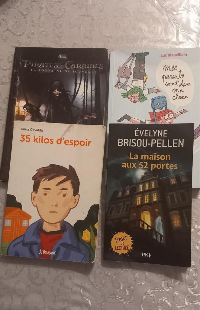 Lot de 4 livres jeunesse, Ophalen, Gelezen, Divers auteurs