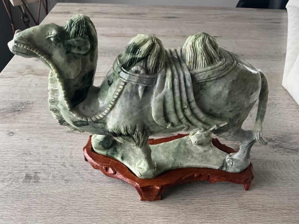 Chameau de Bactriane, Enlèvement