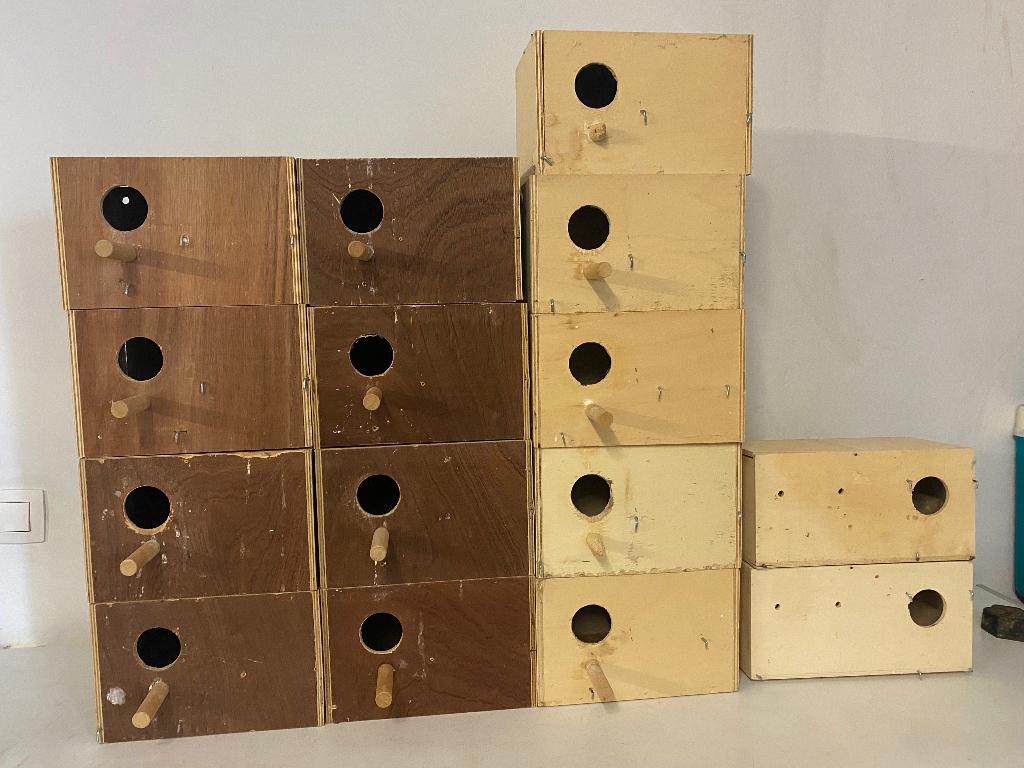 Broedblokken agaporniden  e.a. parkieten.