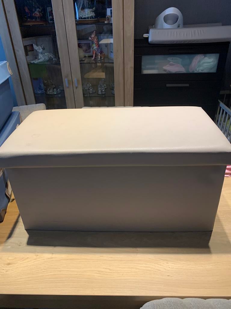 Opbergkist., Huis en Inrichting, Woonaccessoires | Kisten, Ophalen, Zo goed als nieuw