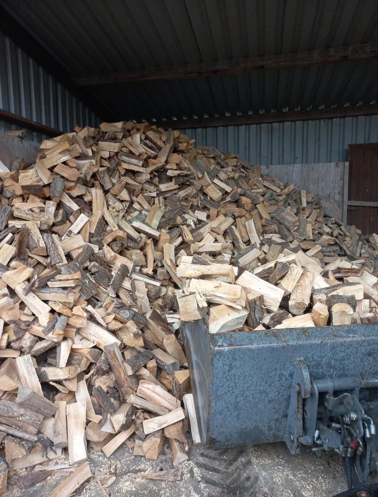 brandhout wilg, Ophalen of Verzenden