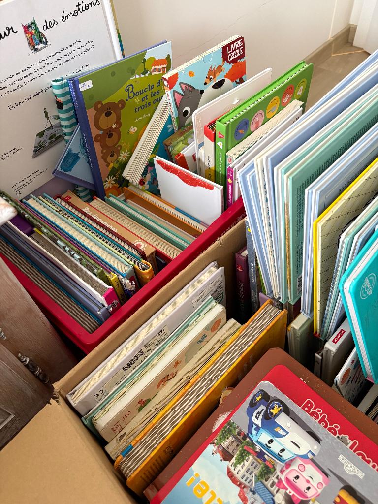 Lot de livres, Livres, Enlèvement, Utilisé, Garçon ou Fille