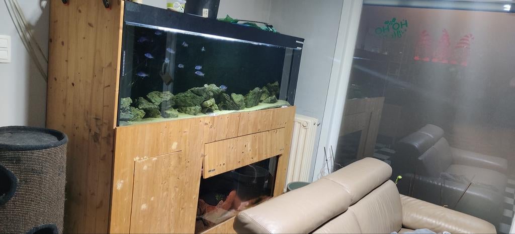 2m aquarium stelling compleet, Enlèvement