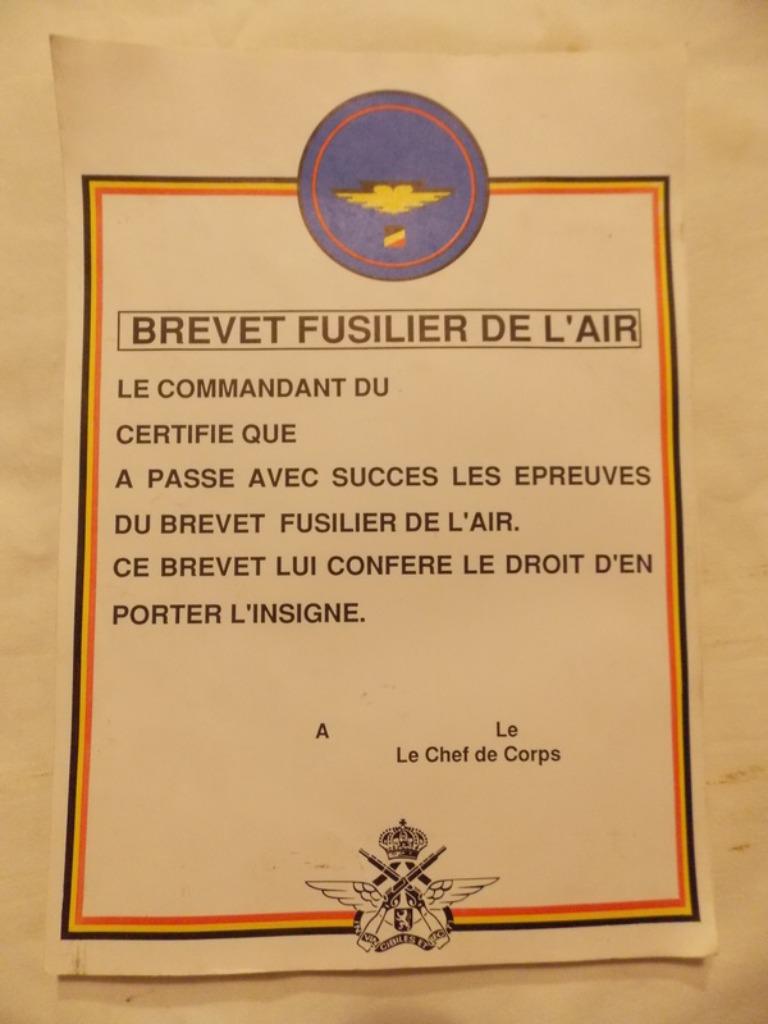 ABL Brevet fusilier de l'air, Enlèvement ou Envoi, Armée de terre, Autres types