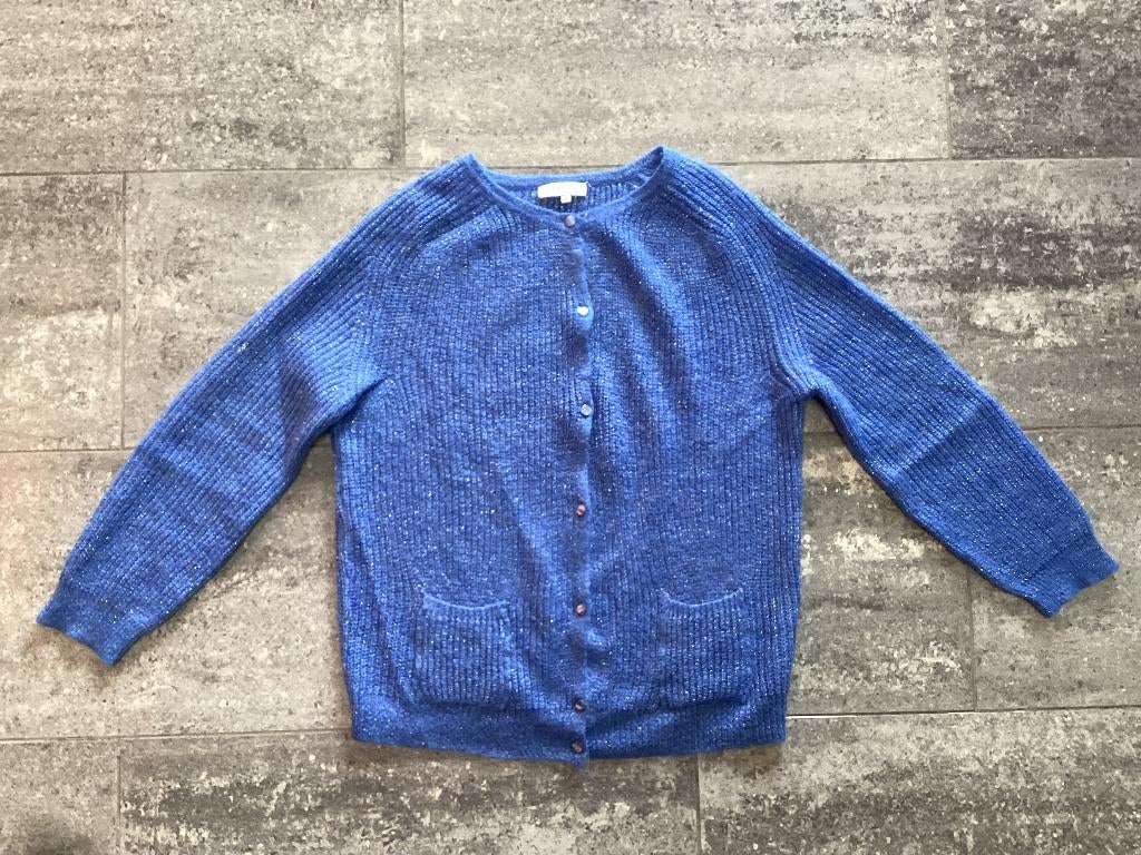 Gilet/Gilet Améline 40/42, Vêtements | Femmes, Pulls & Gilets, Taille 42/44 (L), Mayerline, Enlèvement ou Envoi, Comme neuf