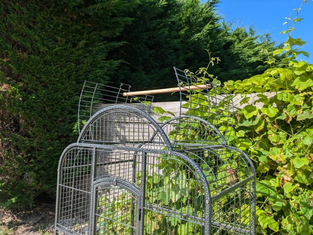 NOUVELLE CAGE À PERROQUETS, Enlèvement ou Envoi