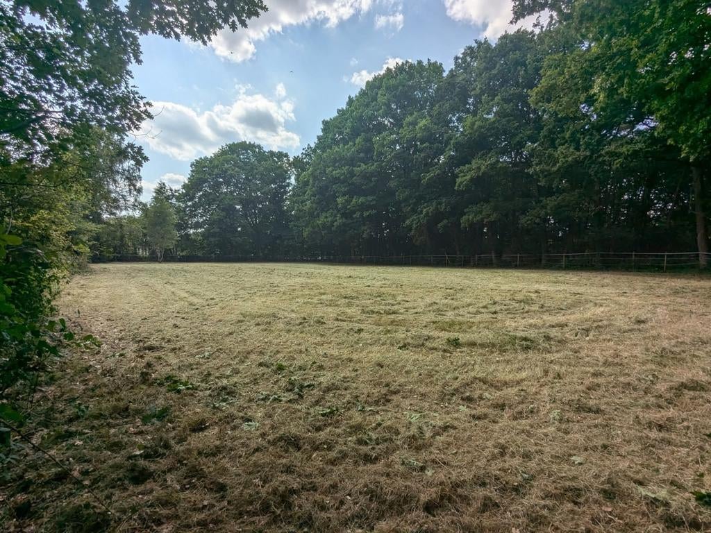 Het klepelen/ weidebloteren van uw perceel, Vacatures, Vacatures | Landbouw, Natuur en Milieu