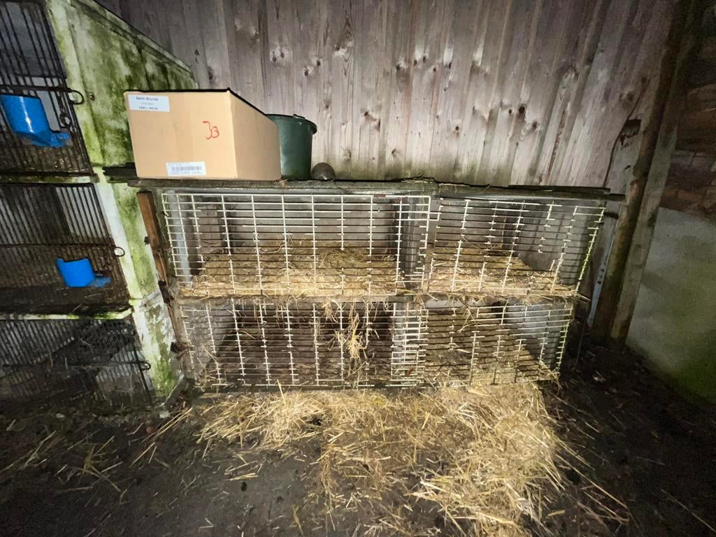 Clapier en béton, Animaux & Accessoires, Cage, Enlèvement, Utilisé, 110 cm ou plus