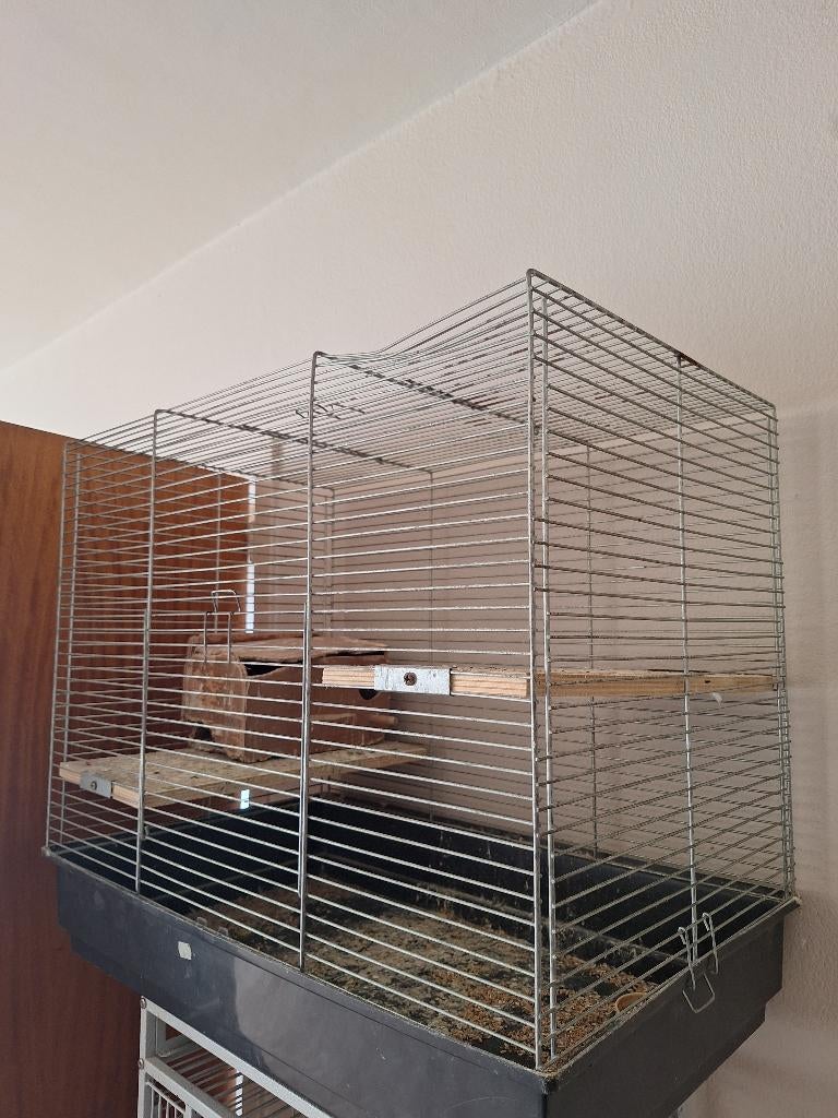 Vogelkooi, Dieren en Toebehoren, Ophalen, Vogelkooi