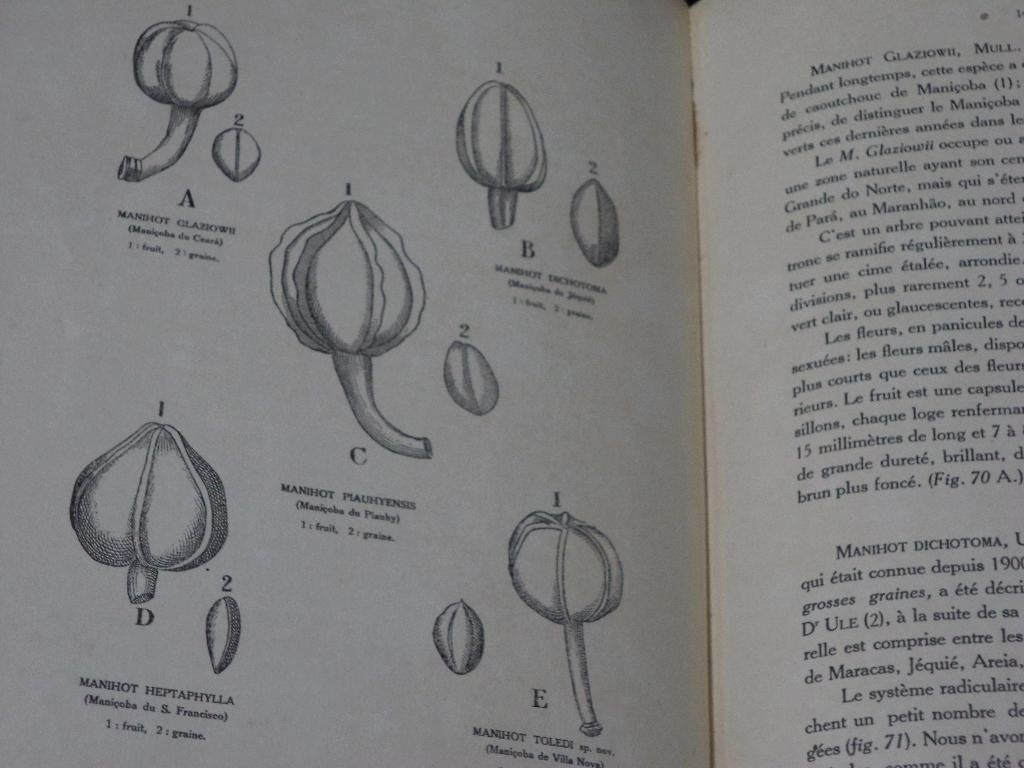 1912 Culture et exploitation du caoutchouc au Brésil RUBBER, Ophalen of Verzenden