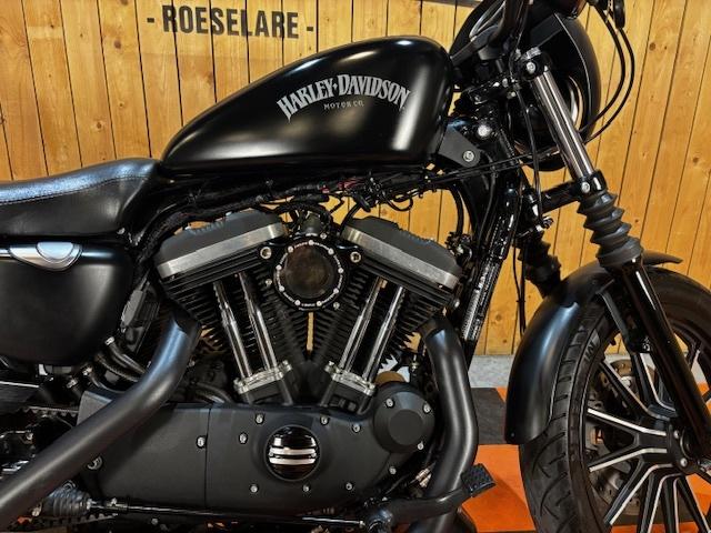 Harley-Davidson Iron 883 (bj 2015), Motoren, Via Galileo Galilei 1
30033   Noale, IT, Aprilia, Bedrijf, 883 cc