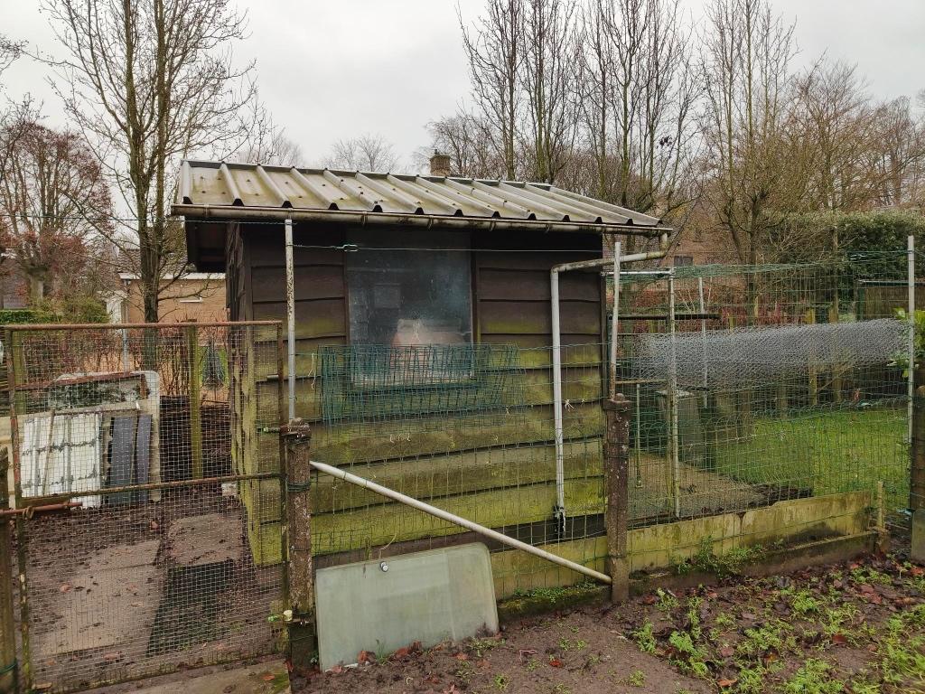 Cage à pigeons (oiseaux) + volière d'accompagnement, Enlèvement, Utilisé, Bois, Cage à oiseaux