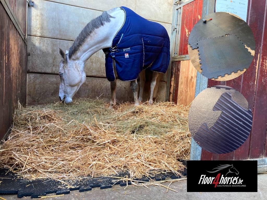 Dalles écuries boxes  chevaux, Animaux & Accessoires