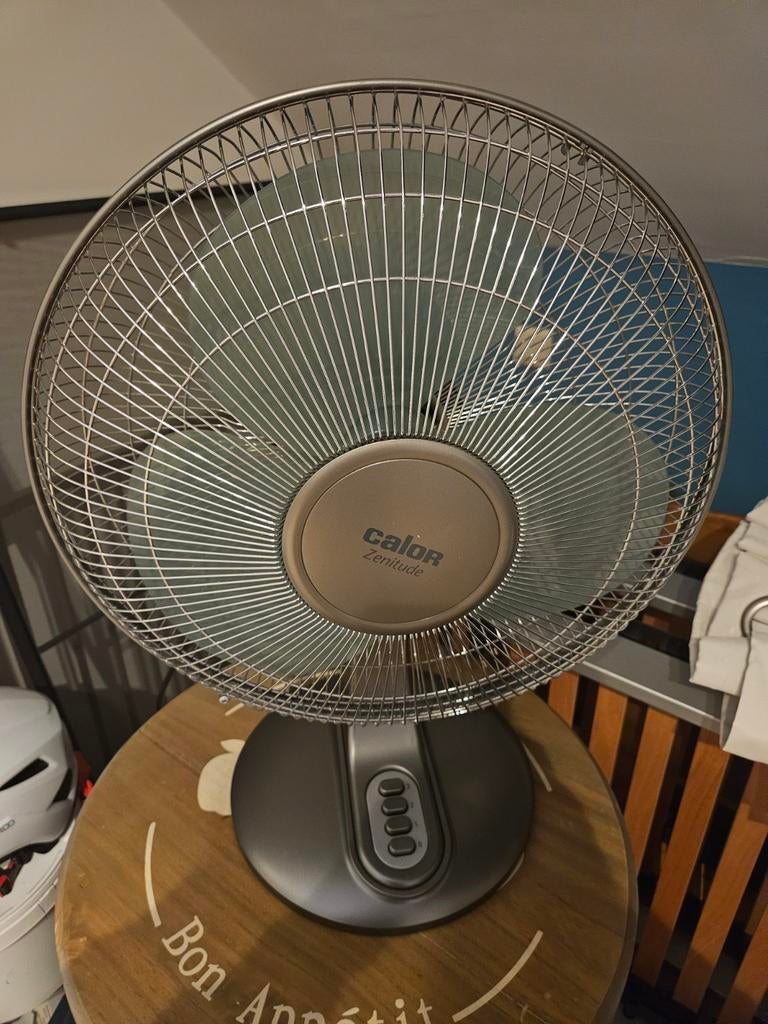 Ventilateur calor zenitude 40cm diamètres presque pas utilis, Electroménager, Ventilateurs, Comme neuf, Ventilateur de table, Enlèvement