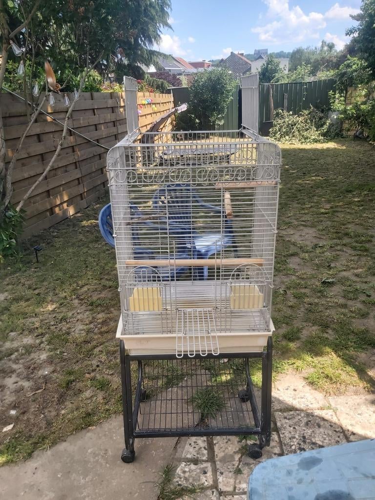 Grande voliere, Dieren en Toebehoren, Vogels | Hokken en Kooien