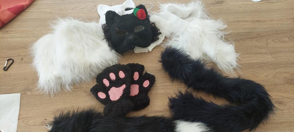 Verkleed- toebehoren thema ´kat´., Enlèvement, Comme neuf