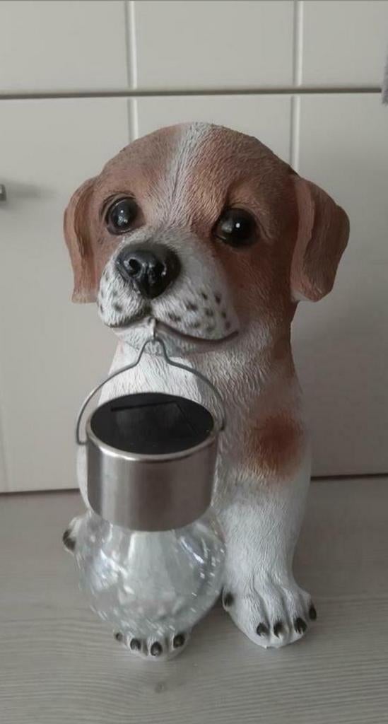 solar luieren jack russell 24cm, Enlèvement ou Envoi