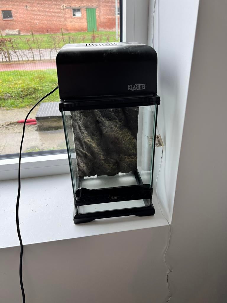 Exo terra terrarium met lichtkap 20x20x30, Enlèvement, Utilisé, Terrarium ou Paludarium