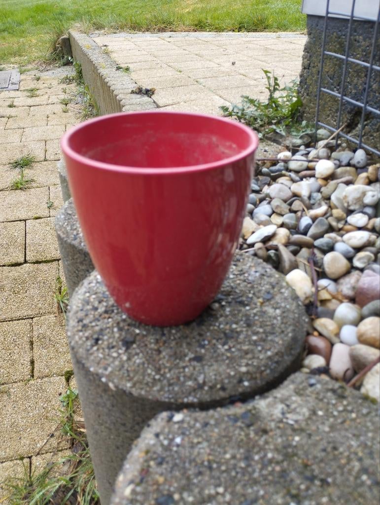 Beaux pots de fleurs gratuit, Jardin & Terrasse, Pots de fleurs, Enlèvement ou Envoi