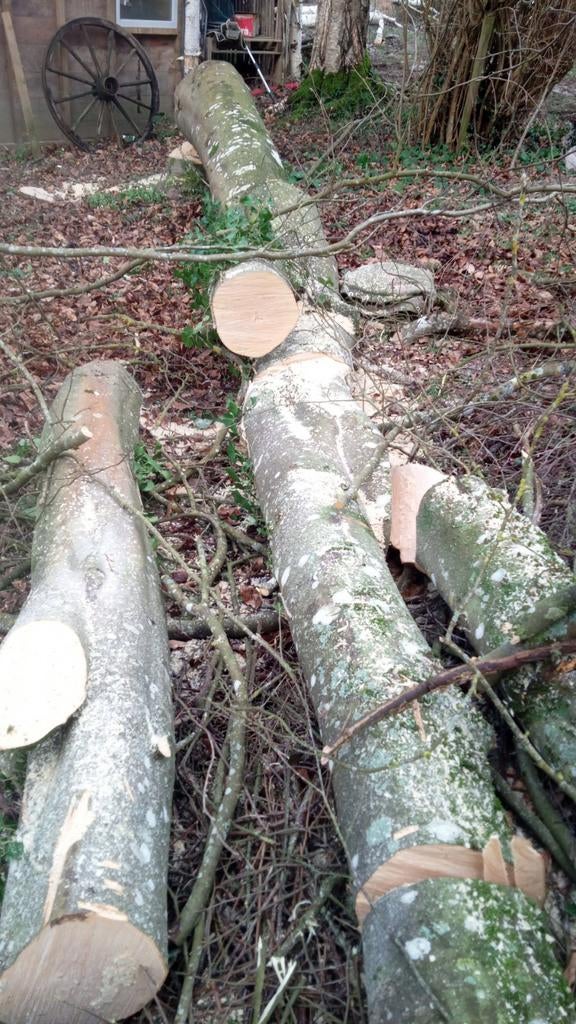 Service forestier, Tuin en Terras, Brandhout