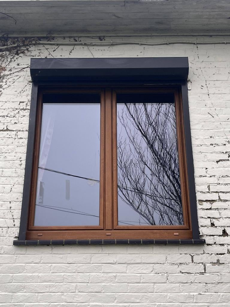 Chassis avec volet électrique, Double vitrage, 160 cm ou plus, Fenêtre de façade ou Vitre, Enlèvement