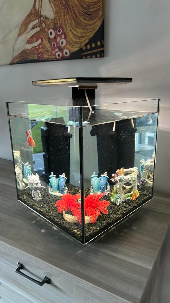 Aquarium Superfish Qubiq30 Pro, Dieren en Toebehoren, Ophalen, Pomp, Zo goed als nieuw, Superfish