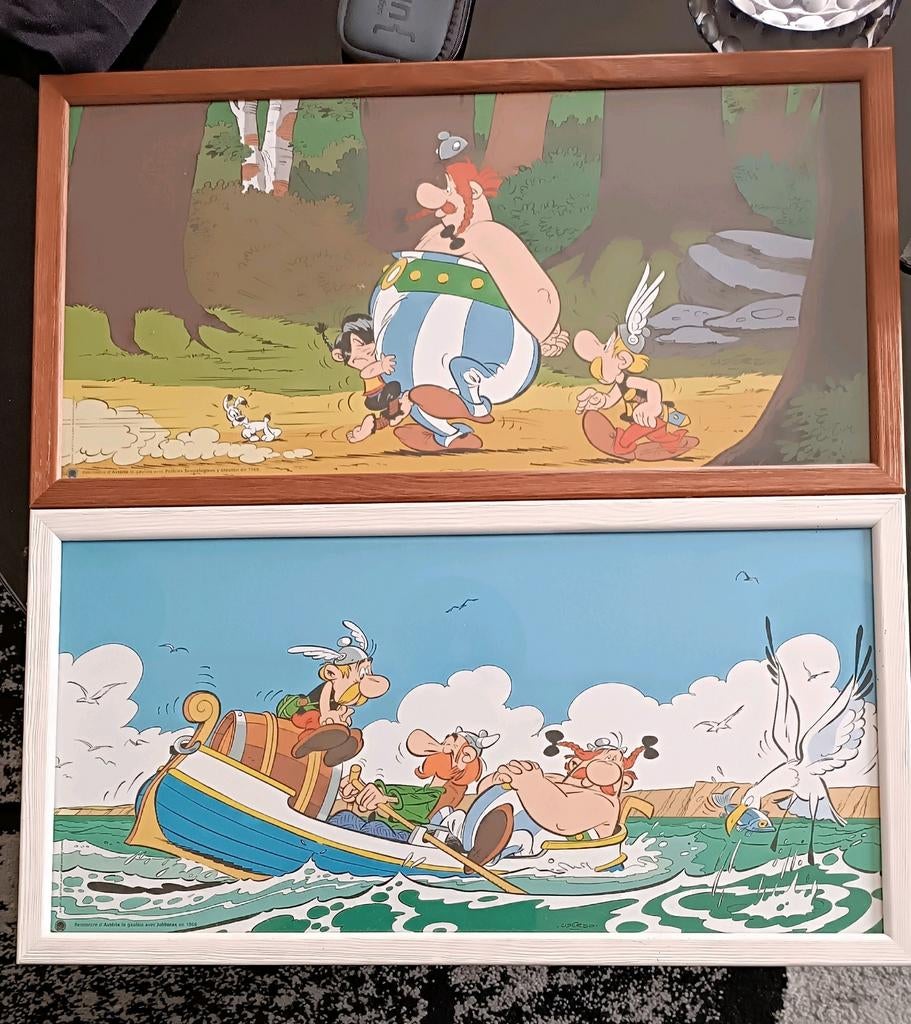 2 cadres Astérix original 2003, Enlèvement