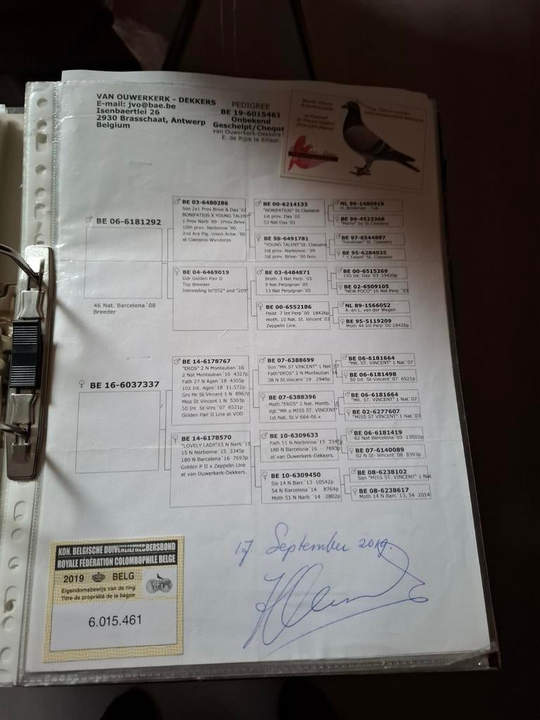 70 pedegrees met eigendomsbewijs