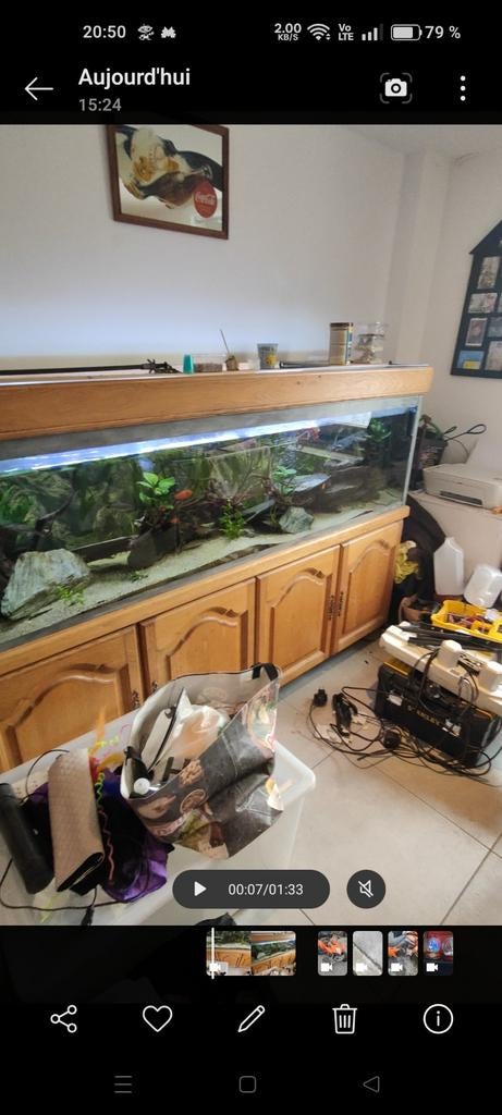 Aquarium complet, Enlèvement, Chauffage