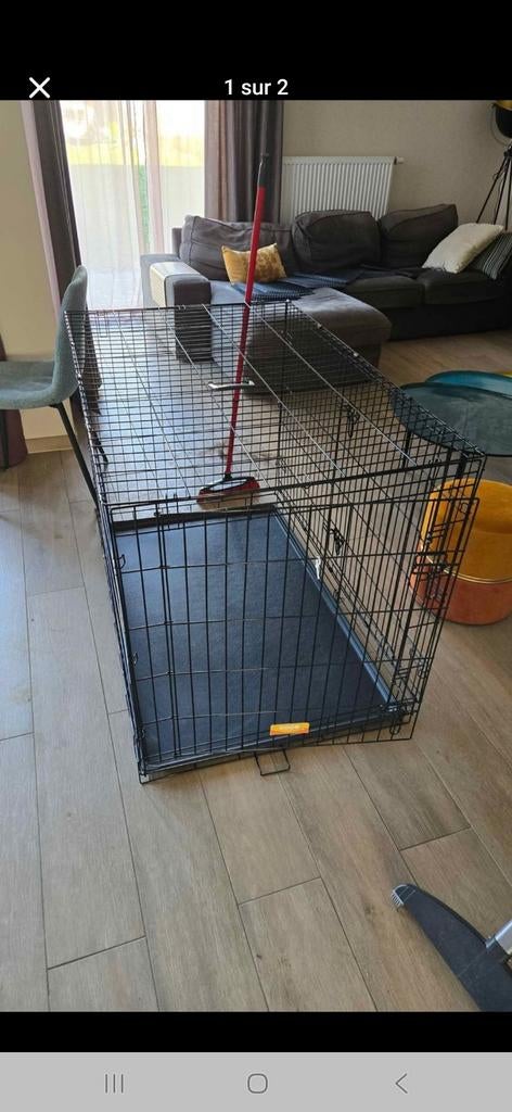 Cage xxl à chiens, Animaux & Accessoires, Enlèvement