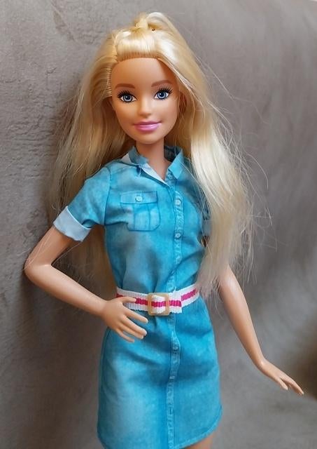 Barbie Dreamhouse Adventure pop, Kinderen en Baby's, Speelgoed | Poppen, Ophalen of Verzenden, Zo goed als nieuw, Barbie