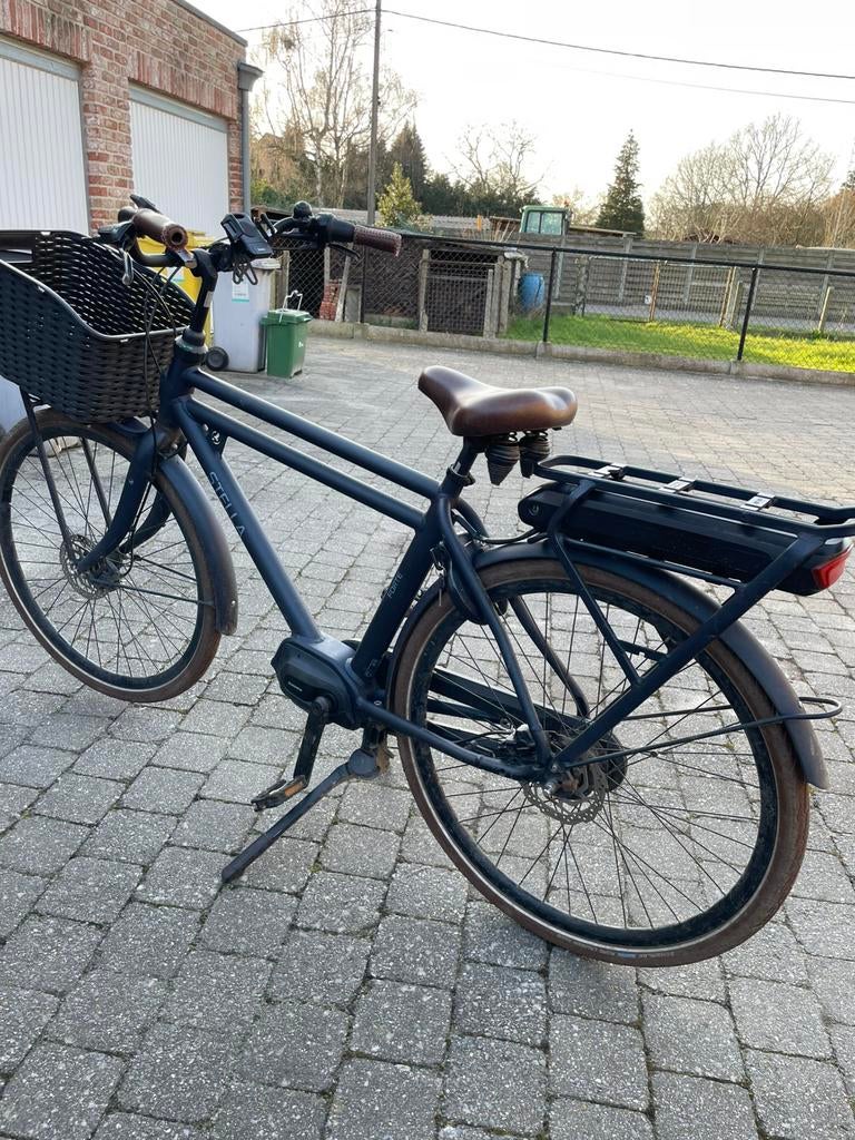 Stella forte elektrische herenfiets, Autres marques, 50 km par batterie ou plus, 59 cm ou plus, Enlèvement