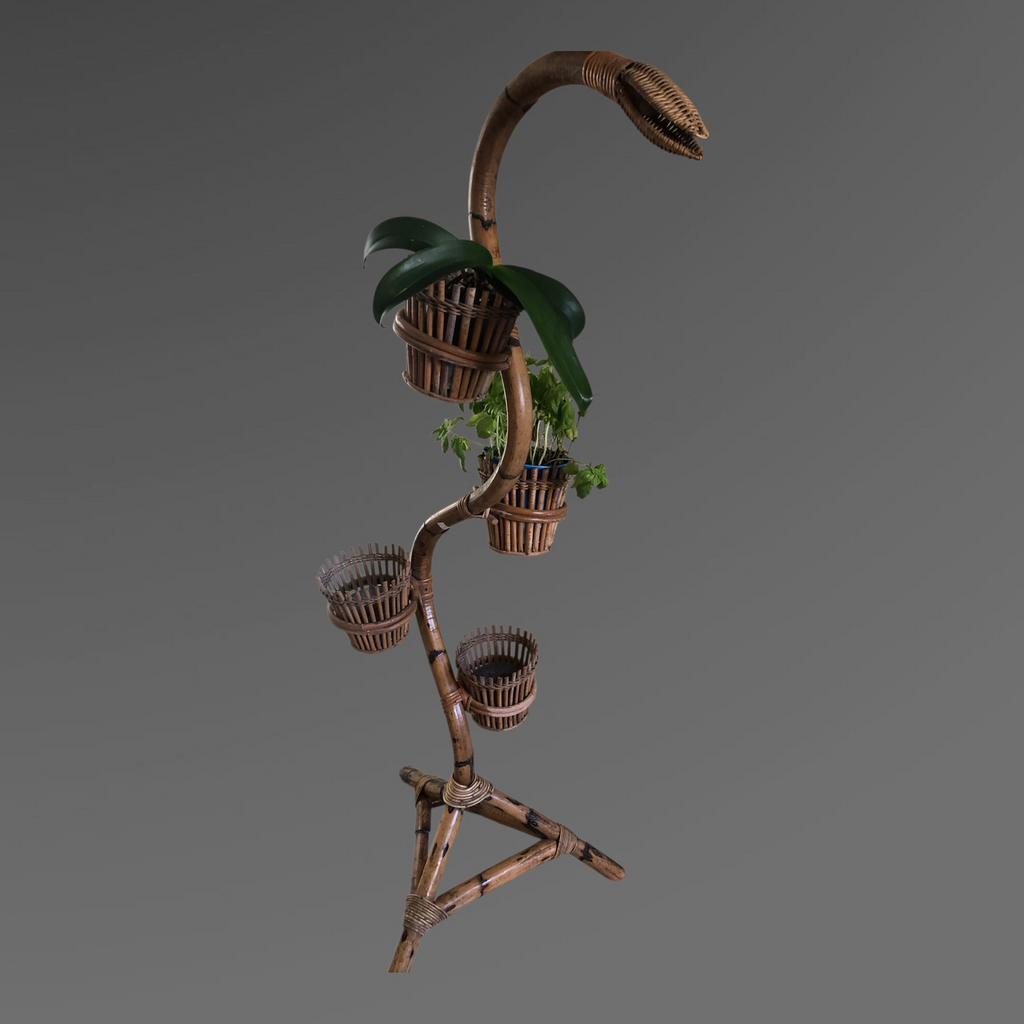 Plantenhouder uit de jaren 50, Ophalen