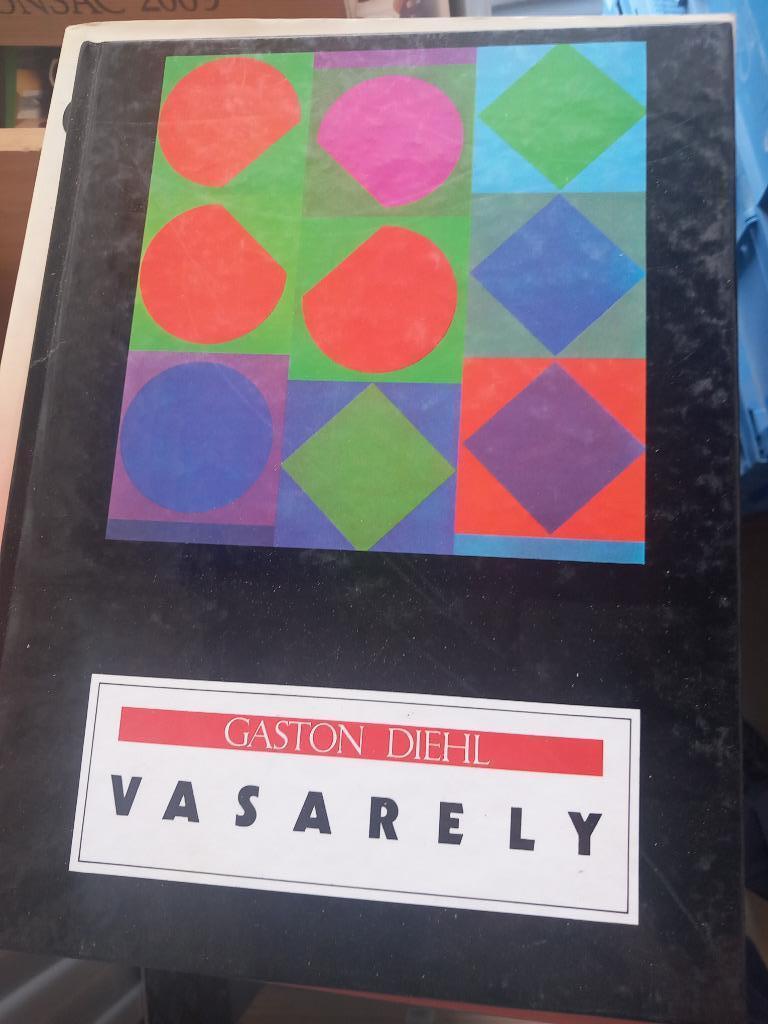 VICTOR VASARELY - UITVINDER VAN OPTISCHE KUNST, Ophalen, Gelezen, Schilder- en Tekenkunst, Divers