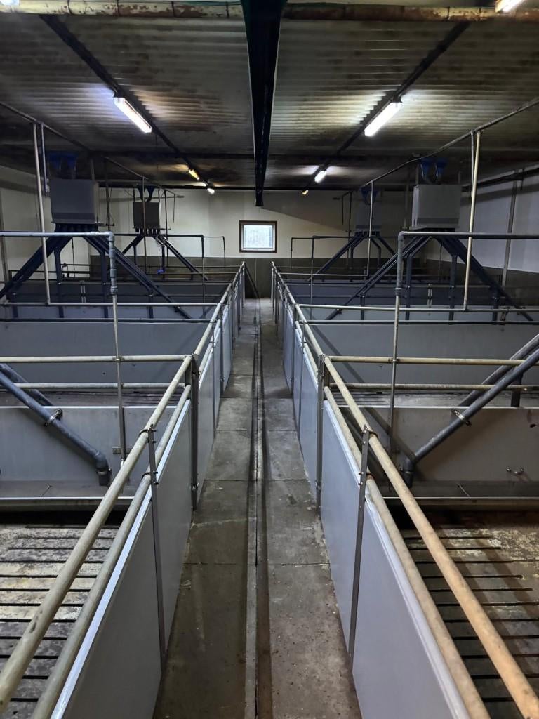 Kunststof hokinrichting met split voedering [113], Dieren en Toebehoren, Stalling en Weidegang