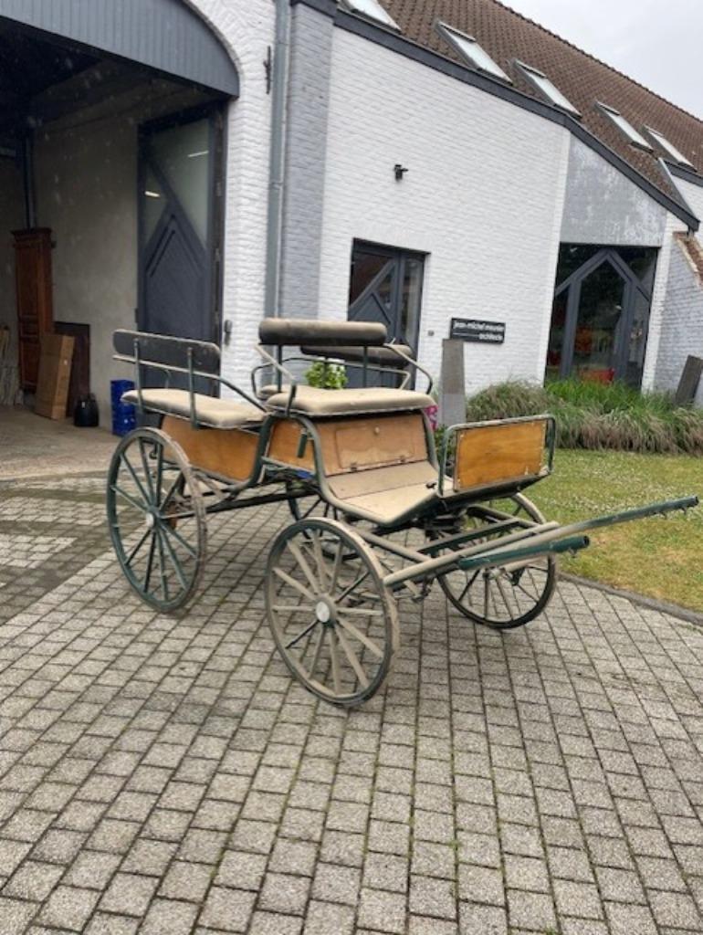 Voiture d'attelage marathon, Enlèvement, Comme neuf, Récréation