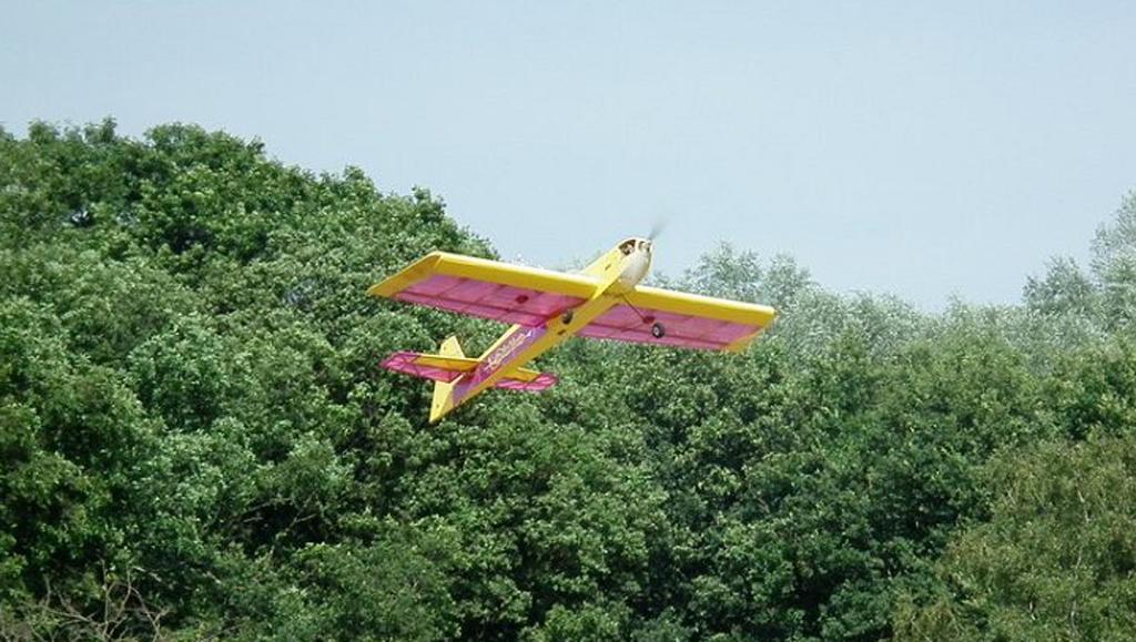 JR Models Diablotin Funflyer, Hobby en Vrije tijd, Ophalen, Gebruikt, Elektro, RTF (Ready to Fly)