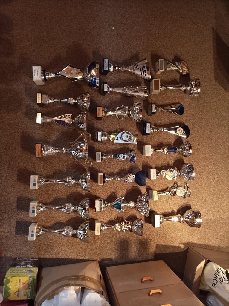 sportbekers en trofeeën, Ophalen of Verzenden, Nieuw, Overige typen