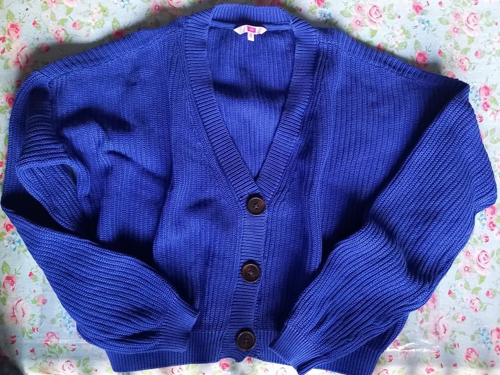 Blauwe gilet maat 146-152, Kinderen en Baby's, Kinderkleding | Maat 146, Ophalen of Verzenden, Zo goed als nieuw, WE, Meisje