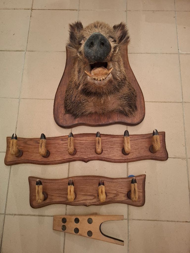 everzwijn kop, Ophalen, Zo goed als nieuw