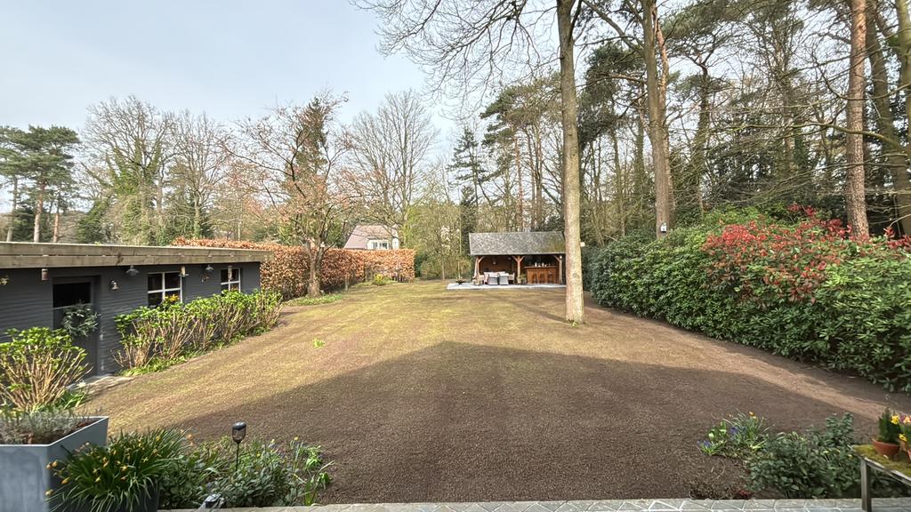 Verticuteren, Inzaaien & Bemesten van uw Gazon, Tuin en Terras, Ophalen of Verzenden, Overige typen