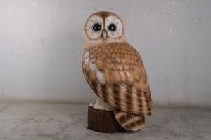 Owl Tawny 5 pieds — Statue de hibou de 153 cm de haut, Enlèvement, Neuf