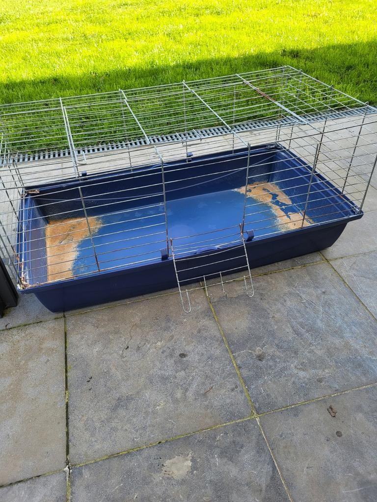 Hok voor dwergkonijn, Dieren en Toebehoren, Ophalen