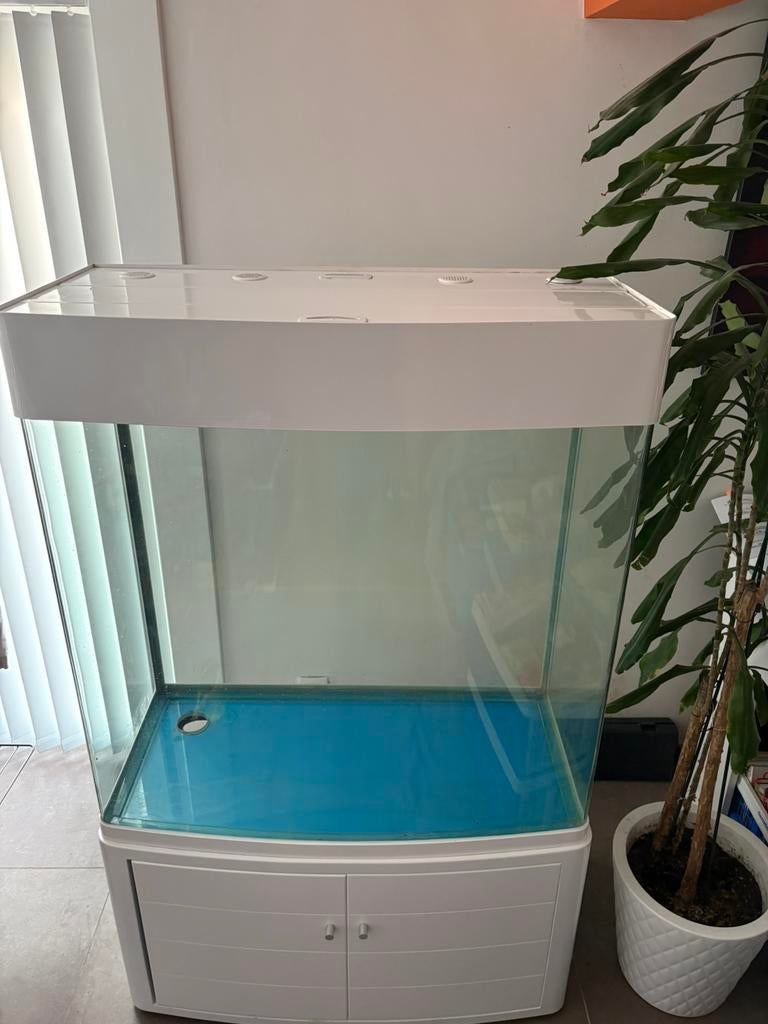 Aquarium avec filtre à puisard ouvert (+  -350 L.), Animaux & Accessoires, Poissons | Aquariums & Accessoires, Utilisé, Aquarium vide
