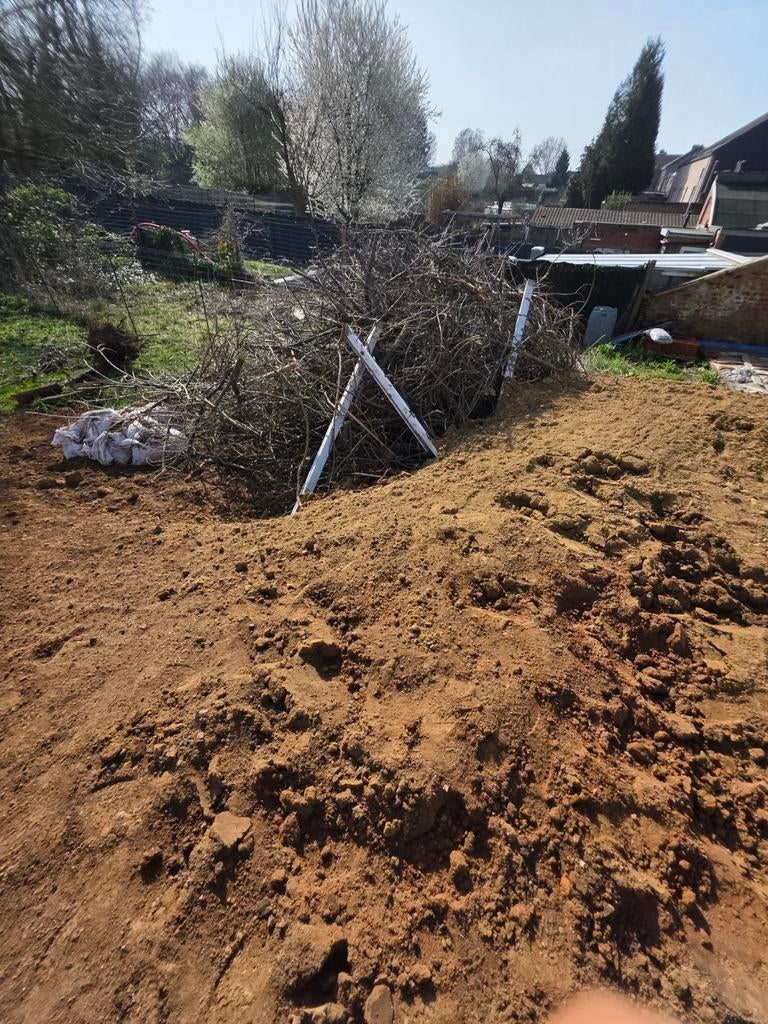A donner BOIS branches d'arbres et tronc, Jardin & Terrasse, Enlèvement
