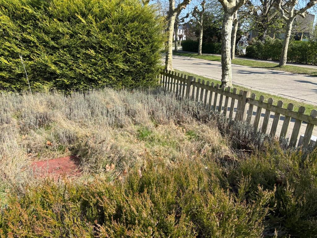 4000L rode mazout, proper, gekeurde tank. Direct beschikbaar, Bricolage & Construction, Chauffage & Radiateurs, Neuf, Enlèvement