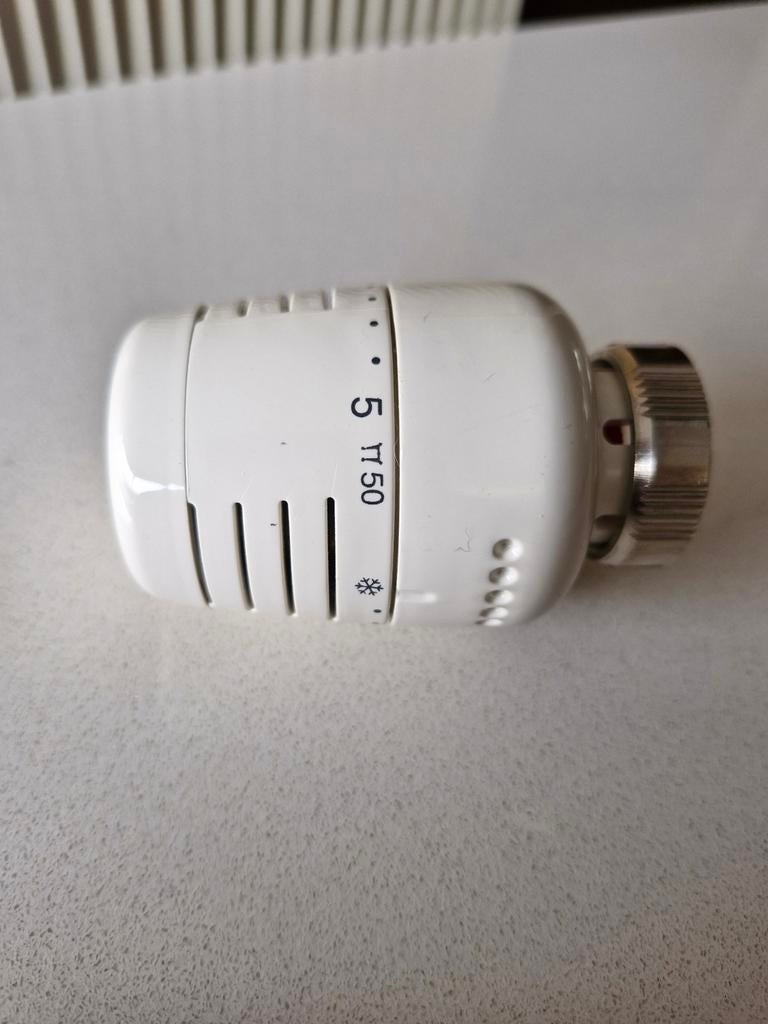 thermostaatkop, Bricolage & Construction, Thermostats, Enlèvement ou Envoi