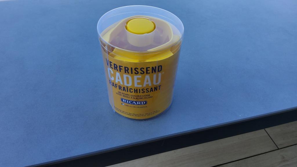 RICARD. 12 glaçons inscription RICARD. Neuf. Non ouvert, Collections, Enlèvement ou Envoi, Neuf