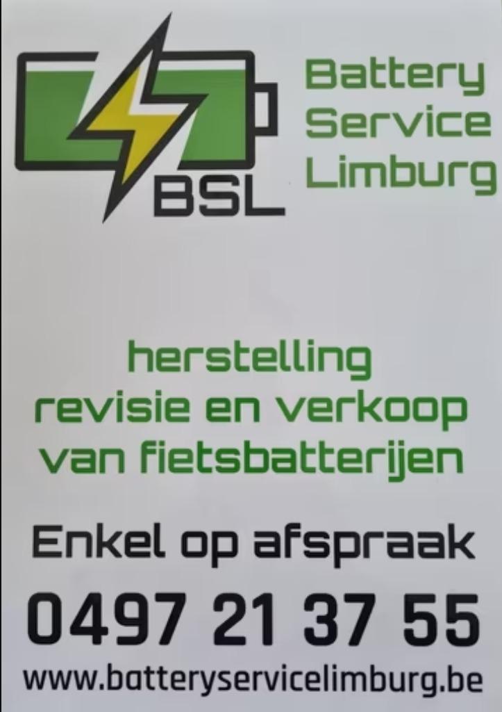 Batterij revisie Accu revisie, Ophalen of Verzenden, Nieuw