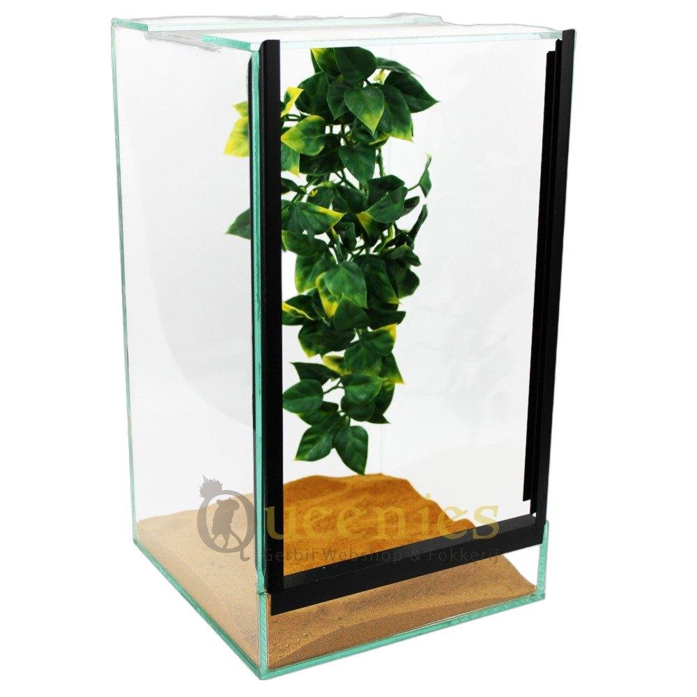 Terrarium 20x20x35 voor spinnen en insecten, Ophalen of Verzenden, Nieuw